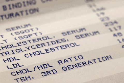 cholesterol report