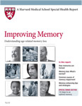 Harvard Report on Memory