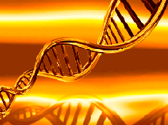 image of genetic code
