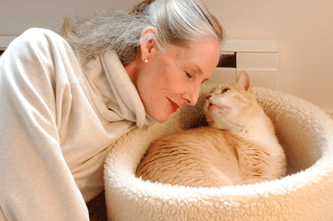 senior cat enjoying her human