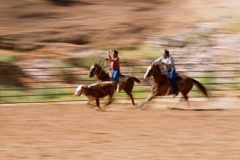 Senior Pro Rodeo