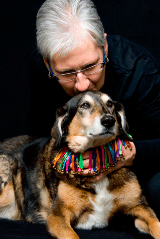 Changes In Older Dogs