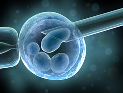 Researchers Are Learning How To Treat Aging